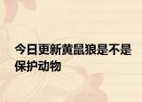 今日更新黃鼠狼是不是保護(hù)動(dòng)物