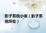 影子系統(tǒng)小說（影子系統(tǒng)壞處）