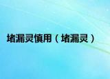 堵漏靈慎用（堵漏靈）