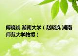 傅曉嵐 湖南大學(xué)（趙曉嵐 湖南師范大學(xué)教授）