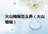 火山蚰蜒怎么養(yǎng)（火山蚰蜒）