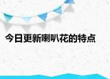 今日更新喇叭花的特點