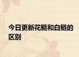 今日更新花鰱和白鰱的區(qū)別