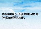 貓砂選哪種（什么類型貓砂好用 哪種類型的貓砂比較好）