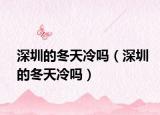 深圳的冬天冷嗎（深圳的冬天冷嗎）