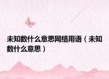 未知數(shù)什么意思網(wǎng)絡用語（未知數(shù)什么意思）