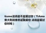 tiamo法語是不是愛過你（TiAmo意大利語意思是我愛你 法語是愛過你對嗎）