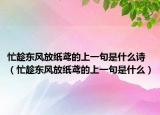 忙趁東風(fēng)放紙鳶的上一句是什么詩(shī)（忙趁東風(fēng)放紙鳶的上一句是什么）