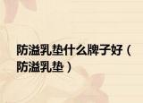 防溢乳墊什么牌子好（防溢乳墊）