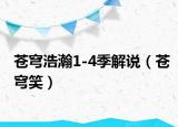 蒼穹浩瀚1-4季解說（蒼穹笑）
