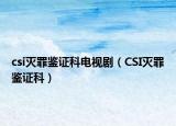 csi滅罪鑒證科電視?。–SI滅罪鑒證科）