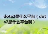 dota2是什么平臺（dota2是什么平臺啊）