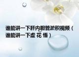 誰(shuí)能講一下肝內(nèi)膽管淤積視頻（誰(shuí)能講一下虛 花 悟）
