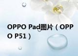 OPPO Pad圖片（OPPO P51）