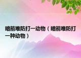 暗箭難防打一動(dòng)物（暗箭難防打一種動(dòng)物）