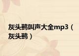 灰頭鹀叫聲大全mp3（灰頭鹀）