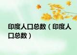 印度人口總數(shù)（印度人口總數(shù)）