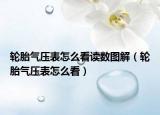 輪胎氣壓表怎么看讀數(shù)圖解（輪胎氣壓表怎么看）