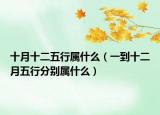 十月十二五行屬什么（一到十二月五行分別屬什么）