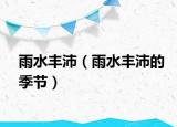 雨水豐沛（雨水豐沛的季節(jié)）