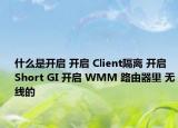 什么是開啟 開啟 Client隔離 開啟 Short GI 開啟 WMM 路由器里 無線的