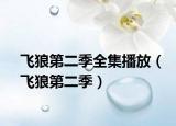 飛狼第二季全集播放（飛狼第二季）