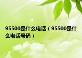 95500是什么電話（95500是什么電話號碼）