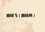 曲曉飛（曲曉燕）