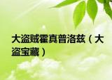 大盜賊霍真普洛茲（大盜寶藏）