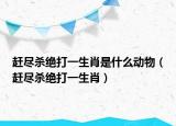 趕盡殺絕打一生肖是什么動(dòng)物（趕盡殺絕打一生肖）