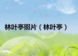 林葉亭照片（林葉亭）