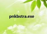 pnkbstra.exe