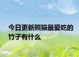 今日更新熊貓最愛吃的竹子有什么