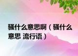 騷什么意思?。}什么意思 流行語）