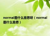 normal是什么意思呀（normal是什么意思）