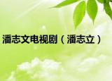 潘志文電視?。ㄅ酥玖ⅲ? /></span></a>
                        <h2><a href=