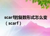 scarf的復(fù)數(shù)形式怎么變（scarf）