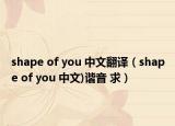 shape of you 中文翻譯（shape of you 中文)諧音 求）