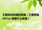 王者峽谷姓楊的英雄（王者榮耀 shirley 楊是什么英雄）