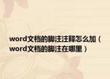 word文檔的腳注注釋怎么加（word文檔的腳注在哪里）