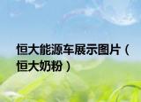 恒大能源車展示圖片（恒大奶粉）