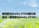 福特野馬Shelby GT500國內(nèi)有售嗎（福特野馬Shelby GT500）