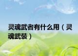 靈魂武者有什么用（靈魂武裝）