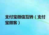 支付寶微信互轉(zhuǎn)（支付寶微客）