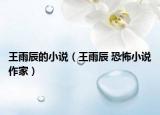 王雨辰的小說（王雨辰 恐怖小說作家）