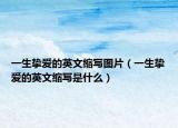 一生摯愛的英文縮寫圖片（一生摯愛的英文縮寫是什么）