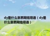 dy是什么意思網(wǎng)絡(luò)用語（dy是什么意思網(wǎng)絡(luò)用語）