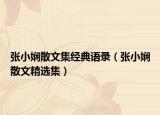 張小嫻散文集經(jīng)典語錄（張小嫻散文精選集）