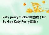 katy perry tucked姝岃瘝（Ur So Gay Katy Perry歌曲）