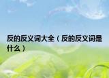 反的反義詞大全（反的反義詞是什么）